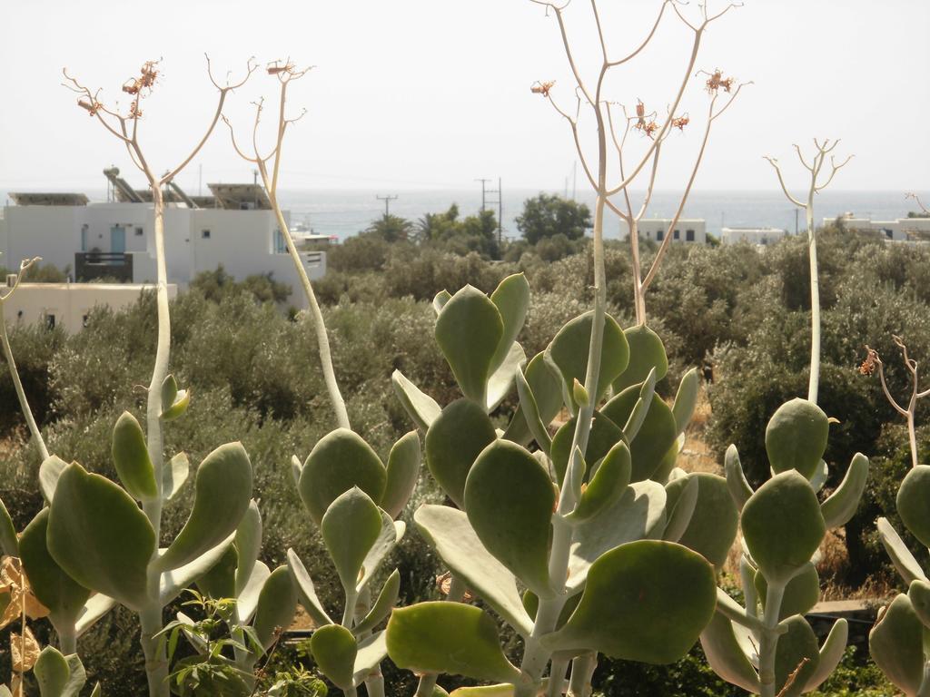 Villa Perivoli Platis Gialos  Exterior foto